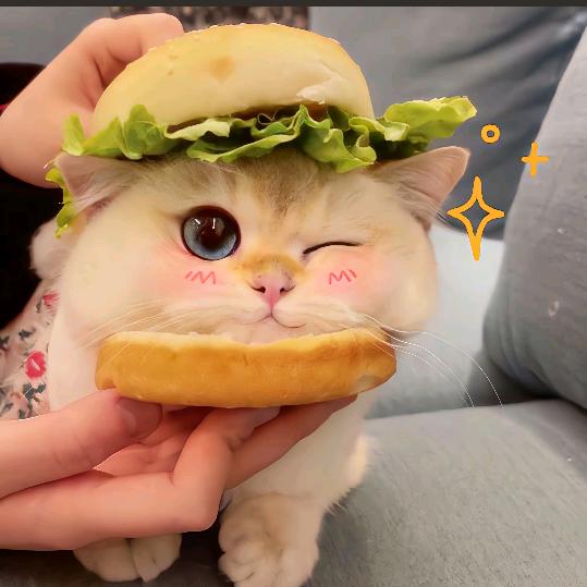 Lucky轩😘
