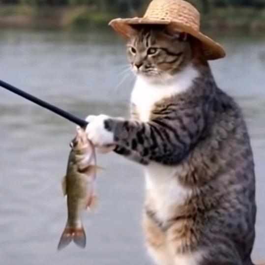 ☞♡☜捂不热的❤