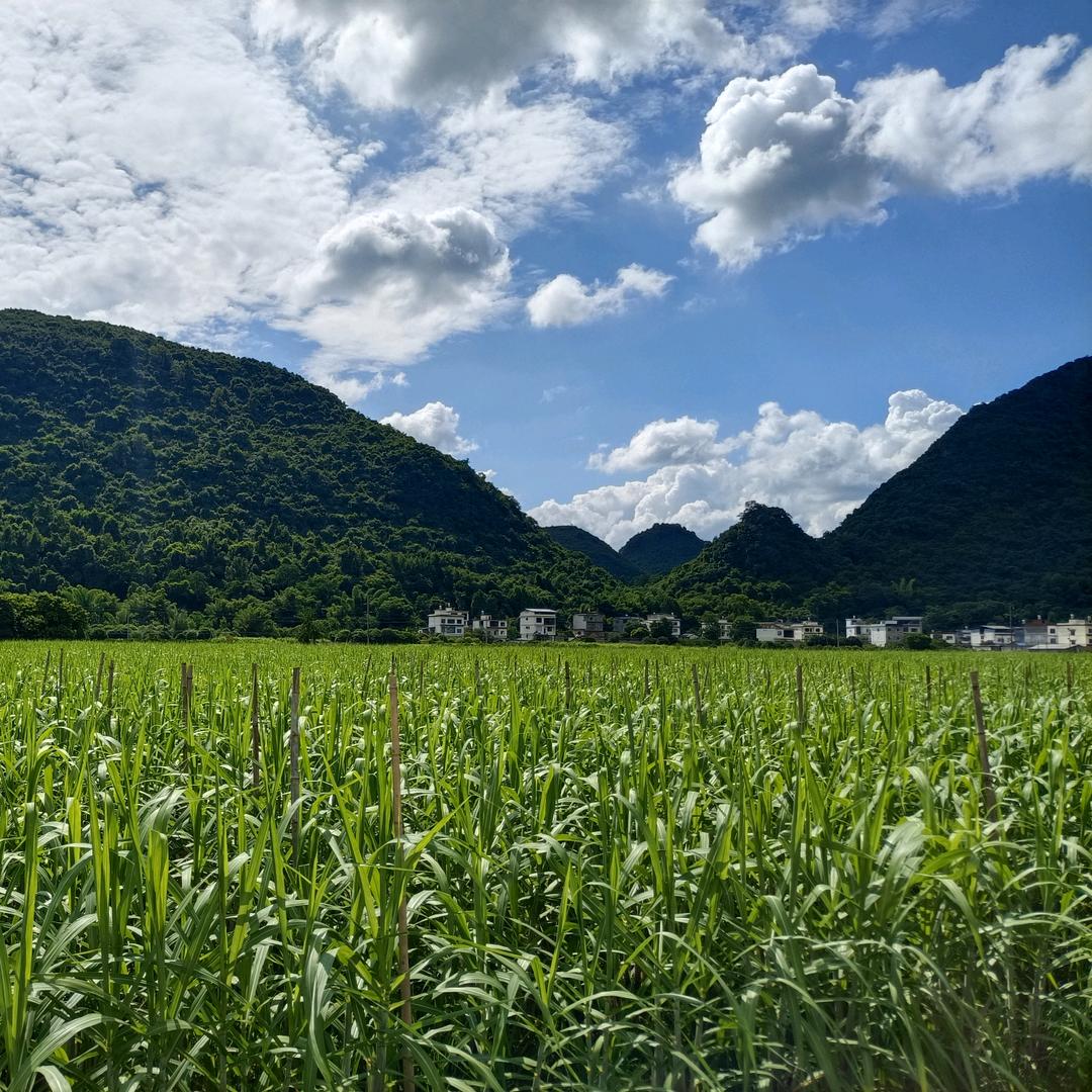 小铭同学