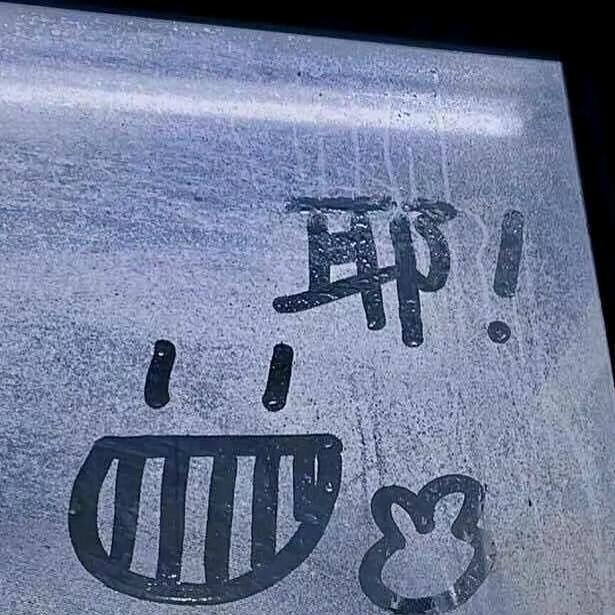 电线杆上的鸟