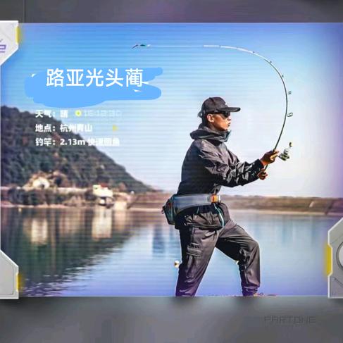 路亚光头蔺