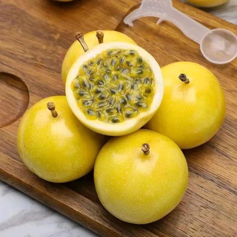 天宝脐橙
