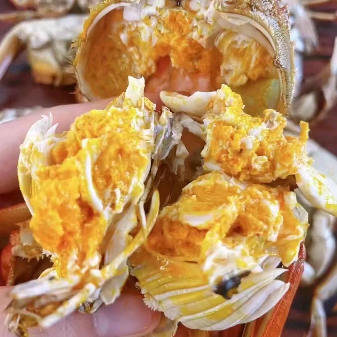 盘锦多哥河蟹