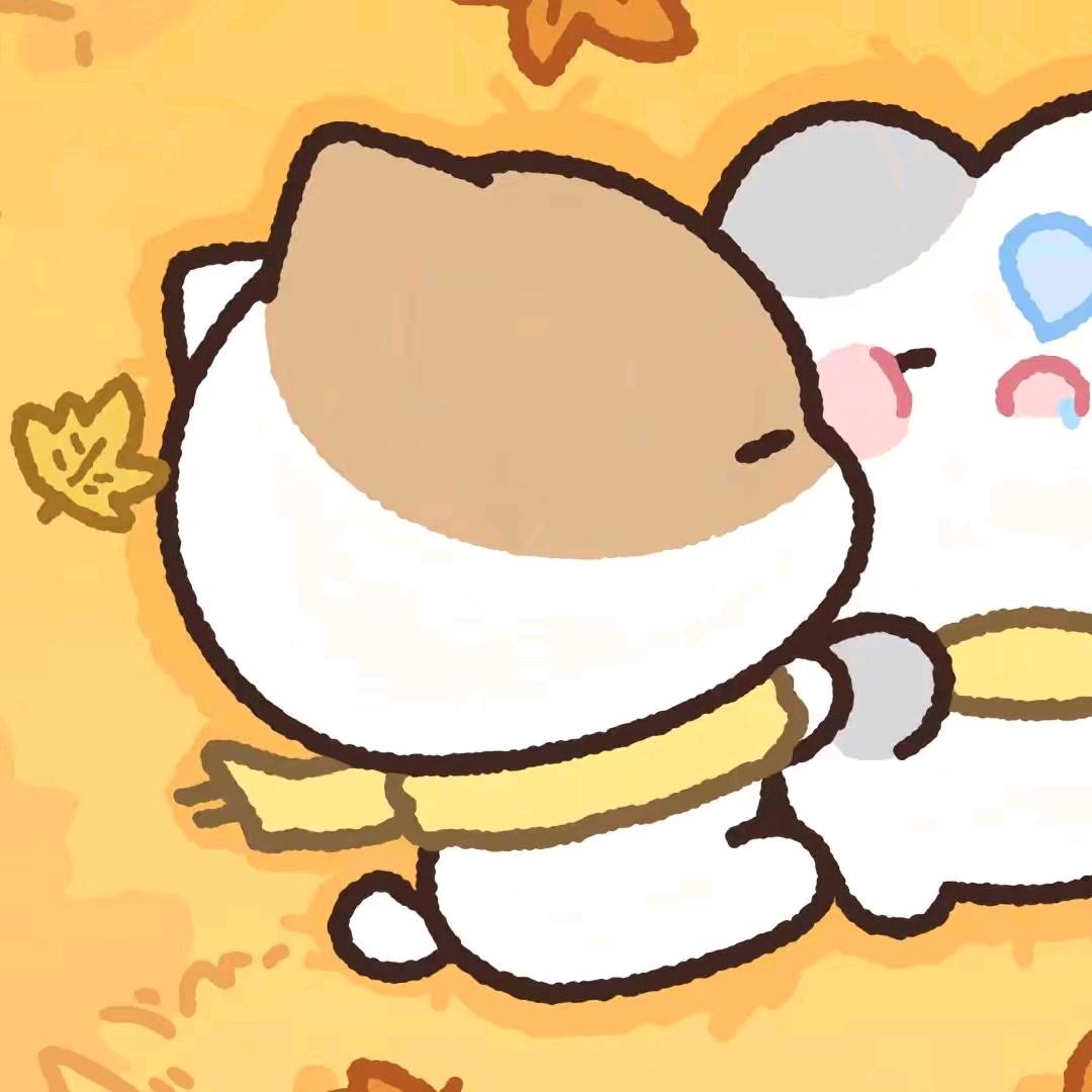 H     Y     B