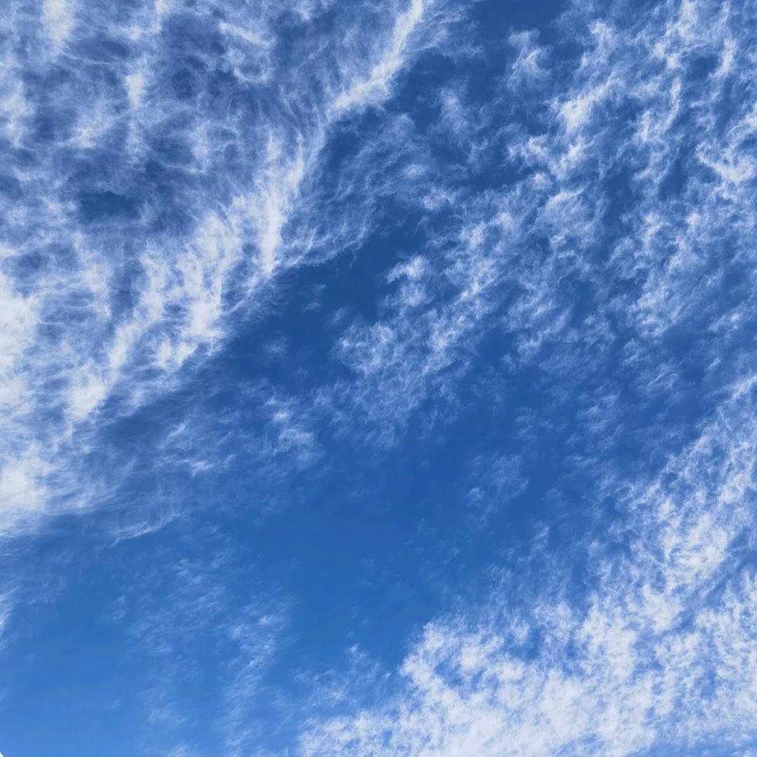 白露（不聊天）