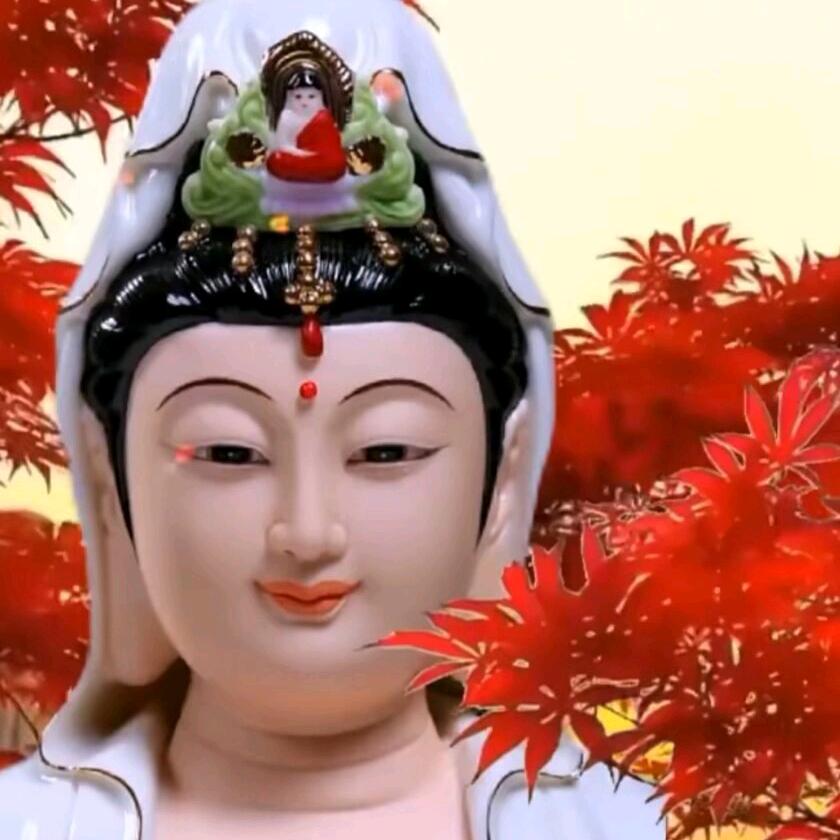 心缘，