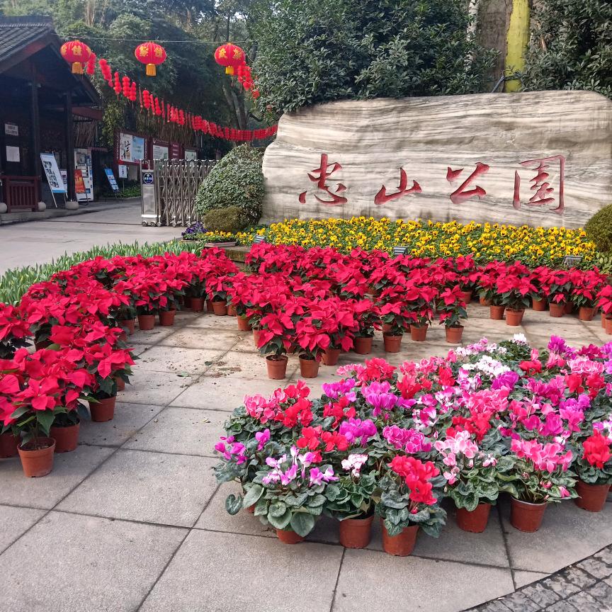 gch随风的日子c