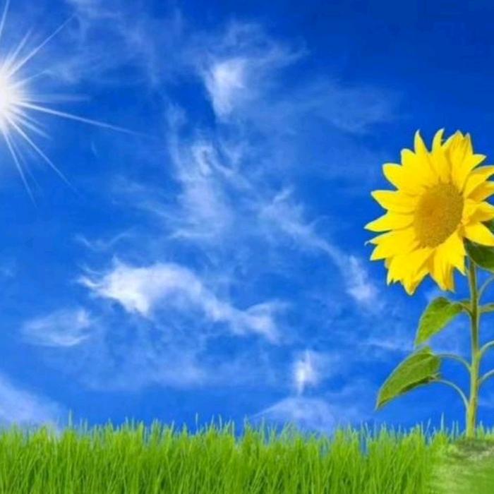 ☀暖阳