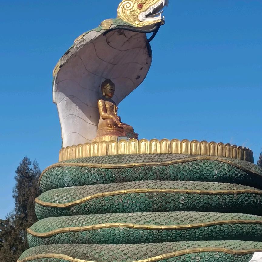 用户9833551536274
