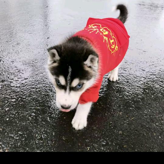 幸福美满一家人