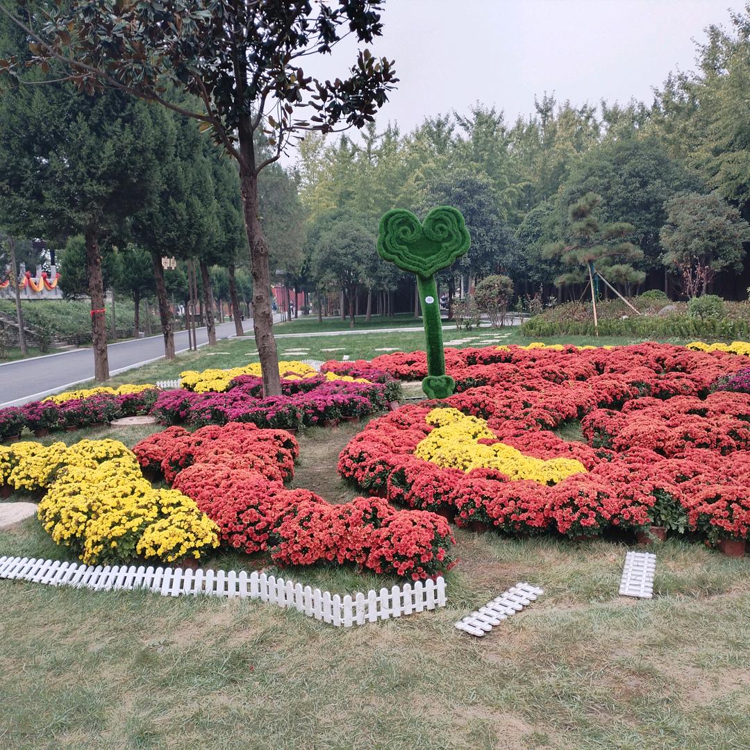 胖子的瘦子梦