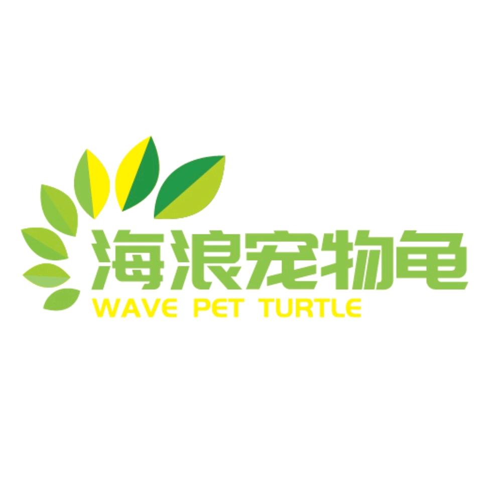 海浪宠物龟直播