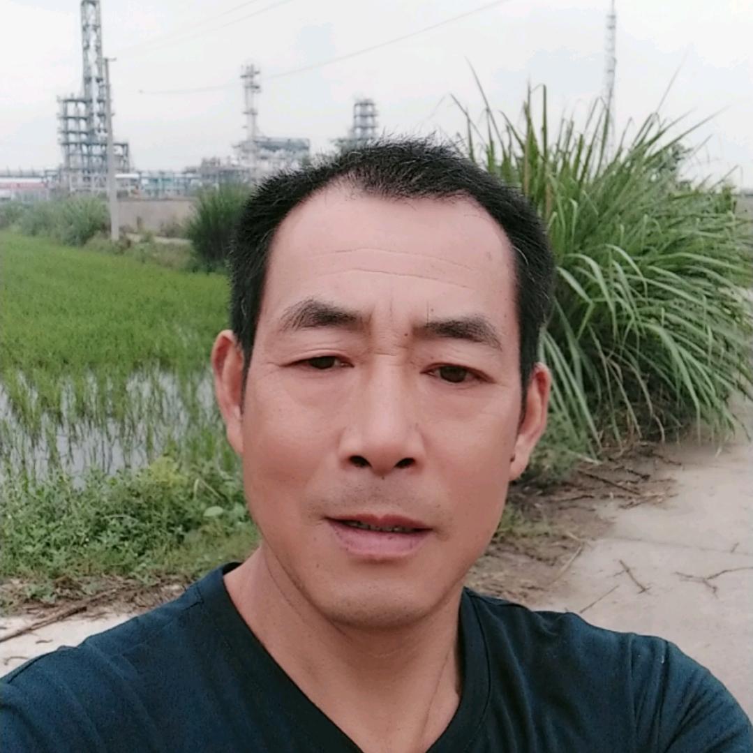 老杨