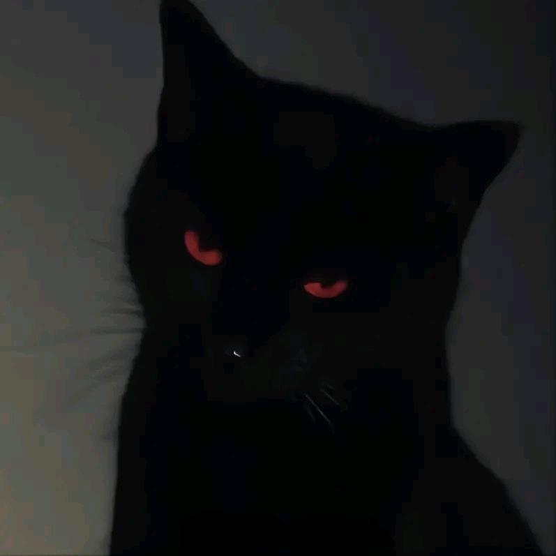 Jin.