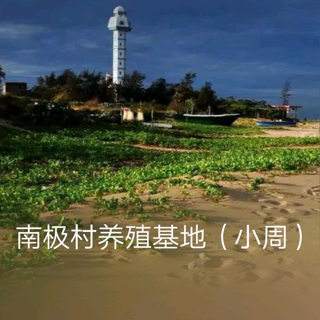 《南极村养殖基地》小周
