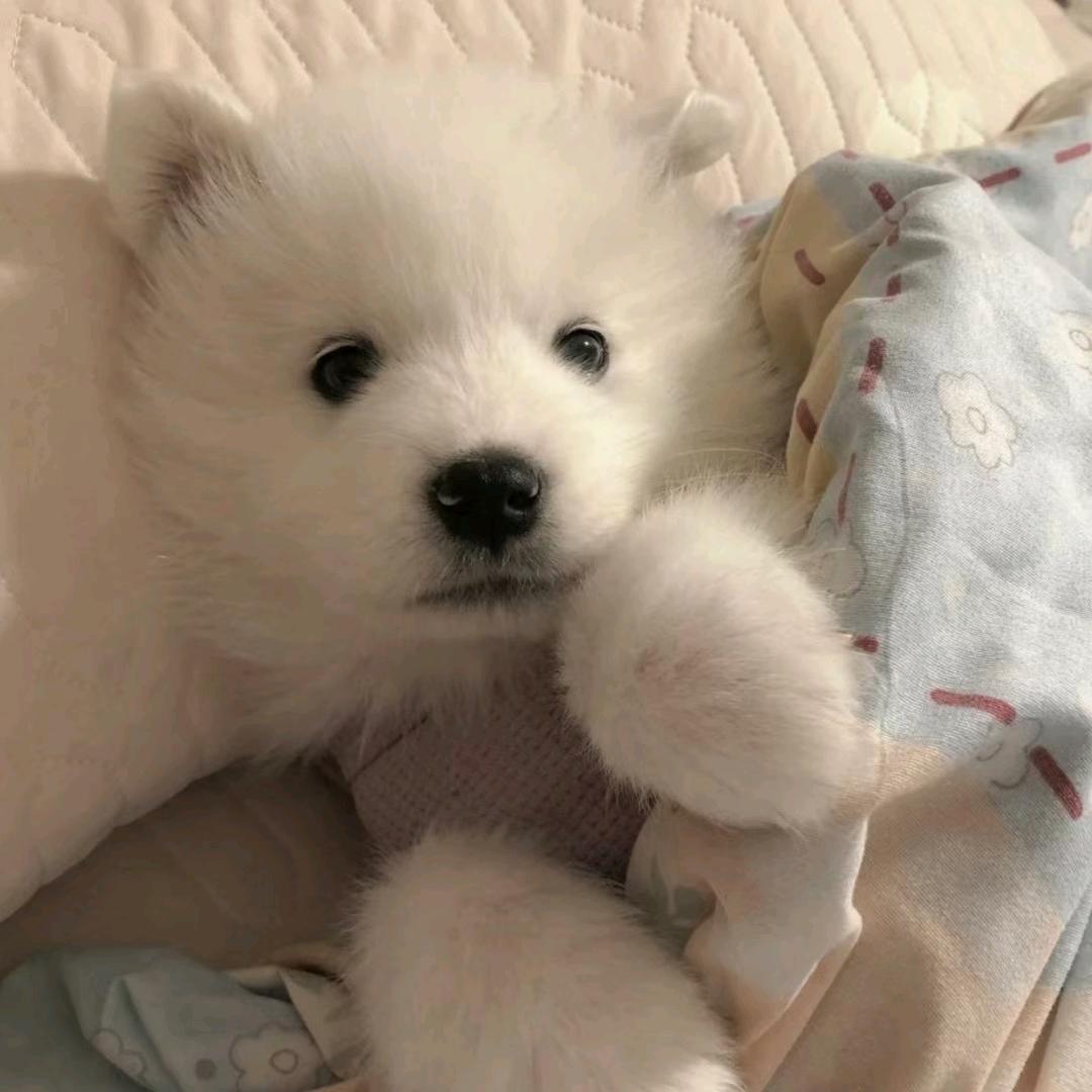 睡了个觉💤