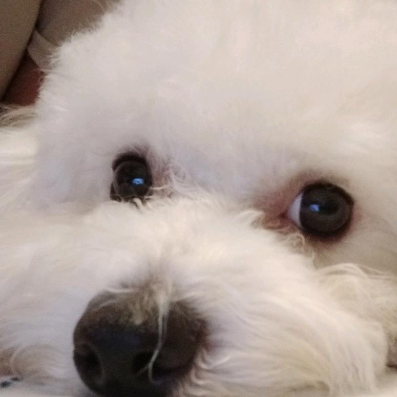 丶随便一个名字