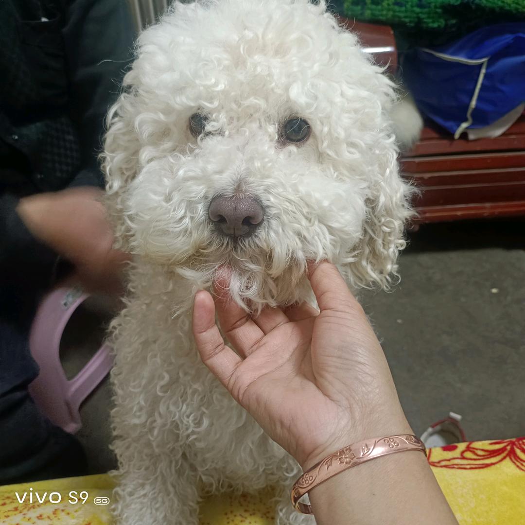 平安，快乐，努力，加油