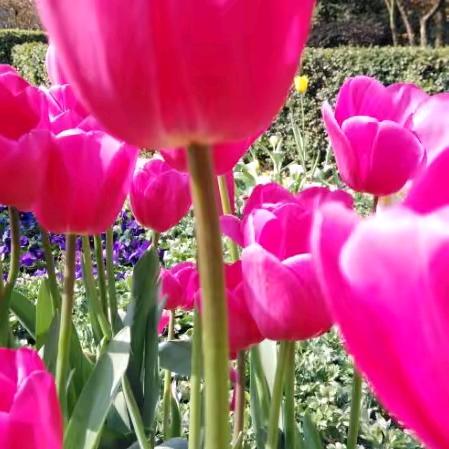 ❤️❤️你永远不懂我❤️❤️