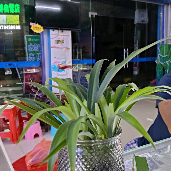 建康宝