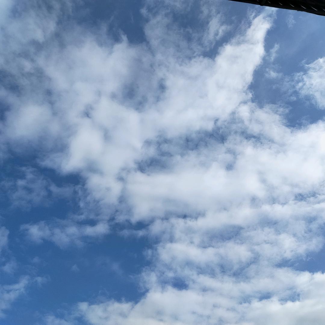 飘洋过海