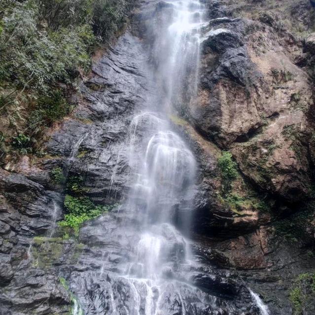 立新围棋(づ ●─● )づ