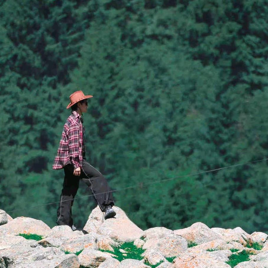 AAAPeiii（种地版）