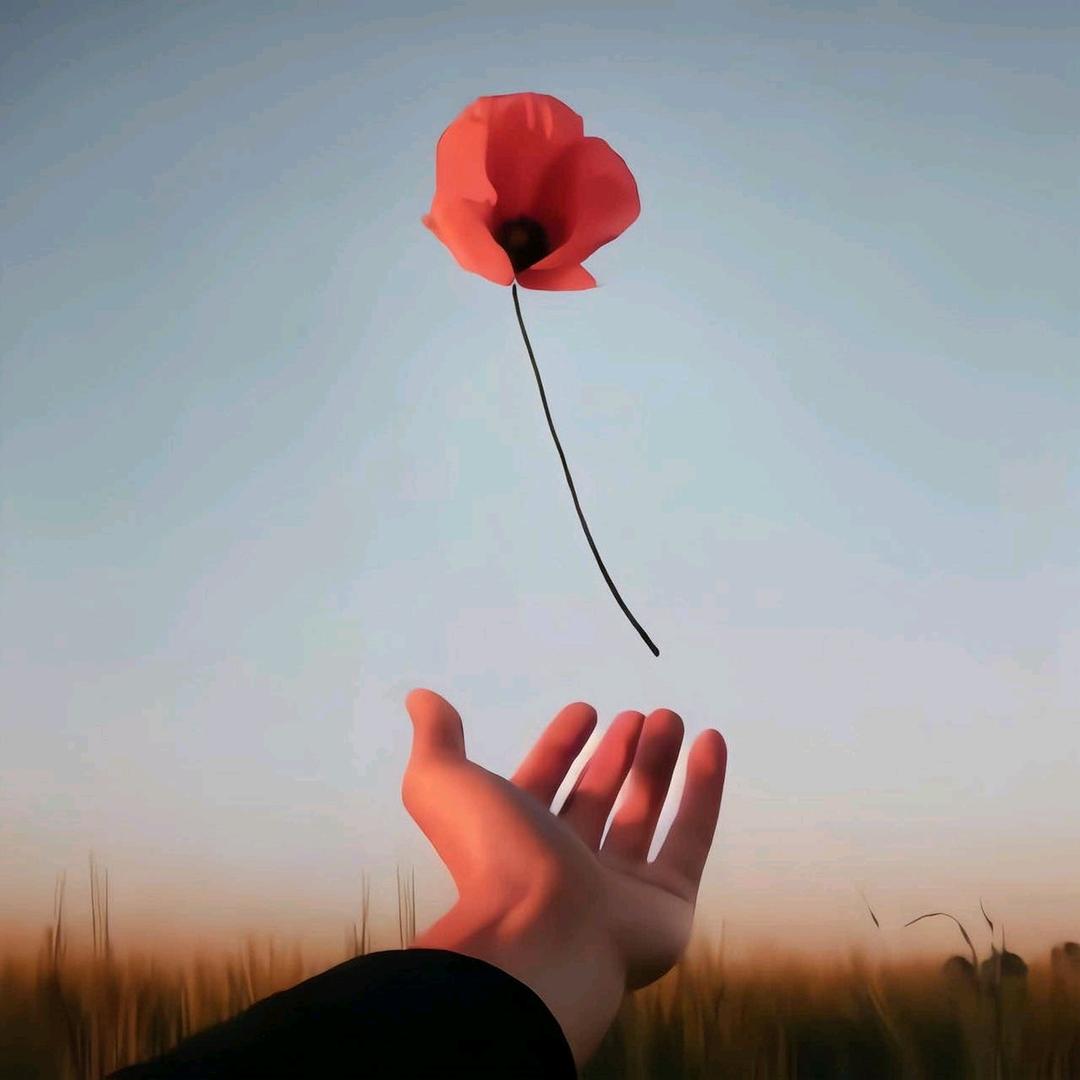 雅俗共赏🌺
