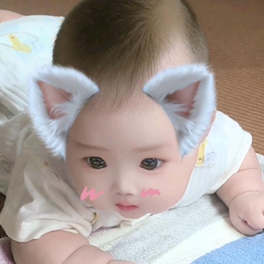 江西梅子