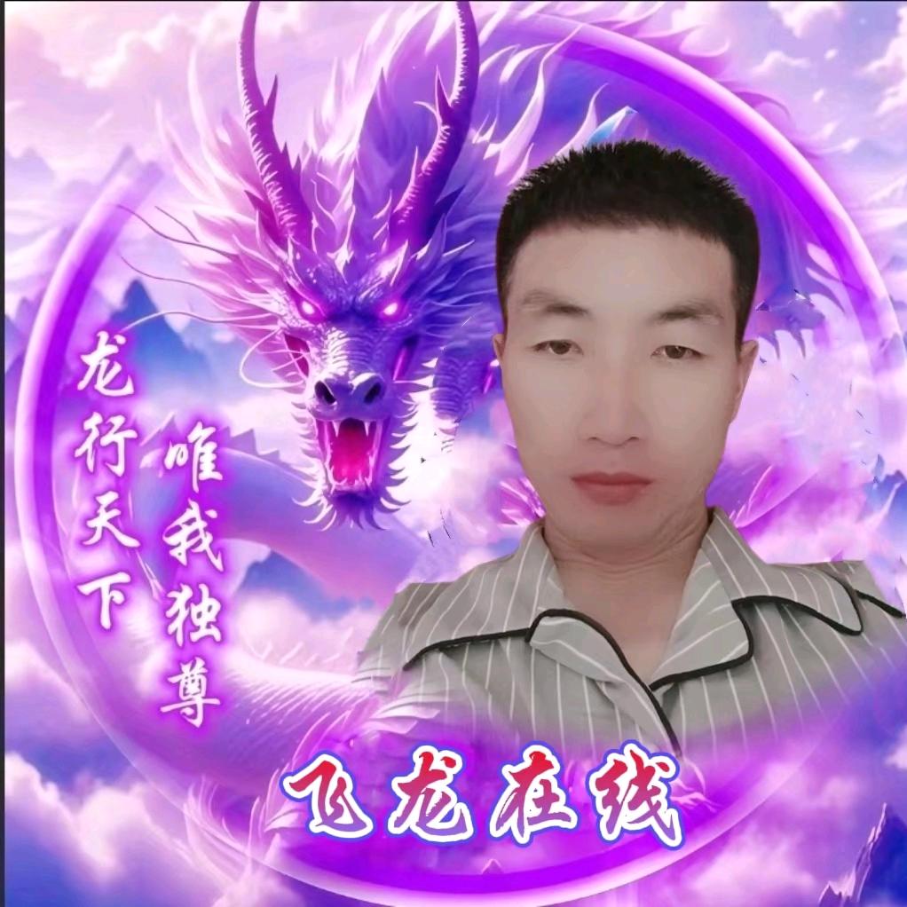 飞龙在线