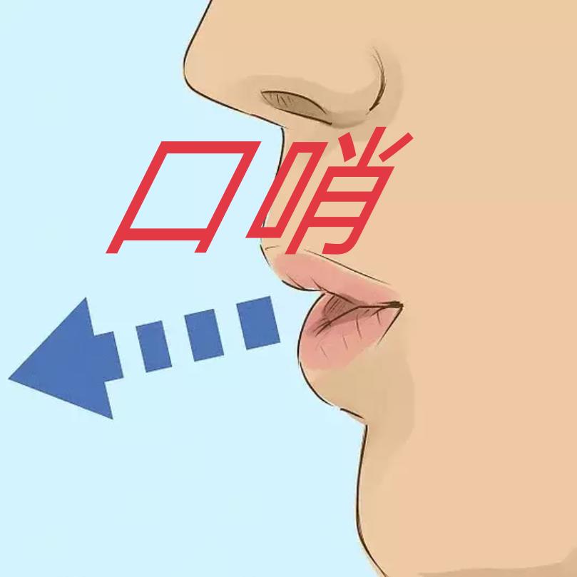 【怀旧口哨】