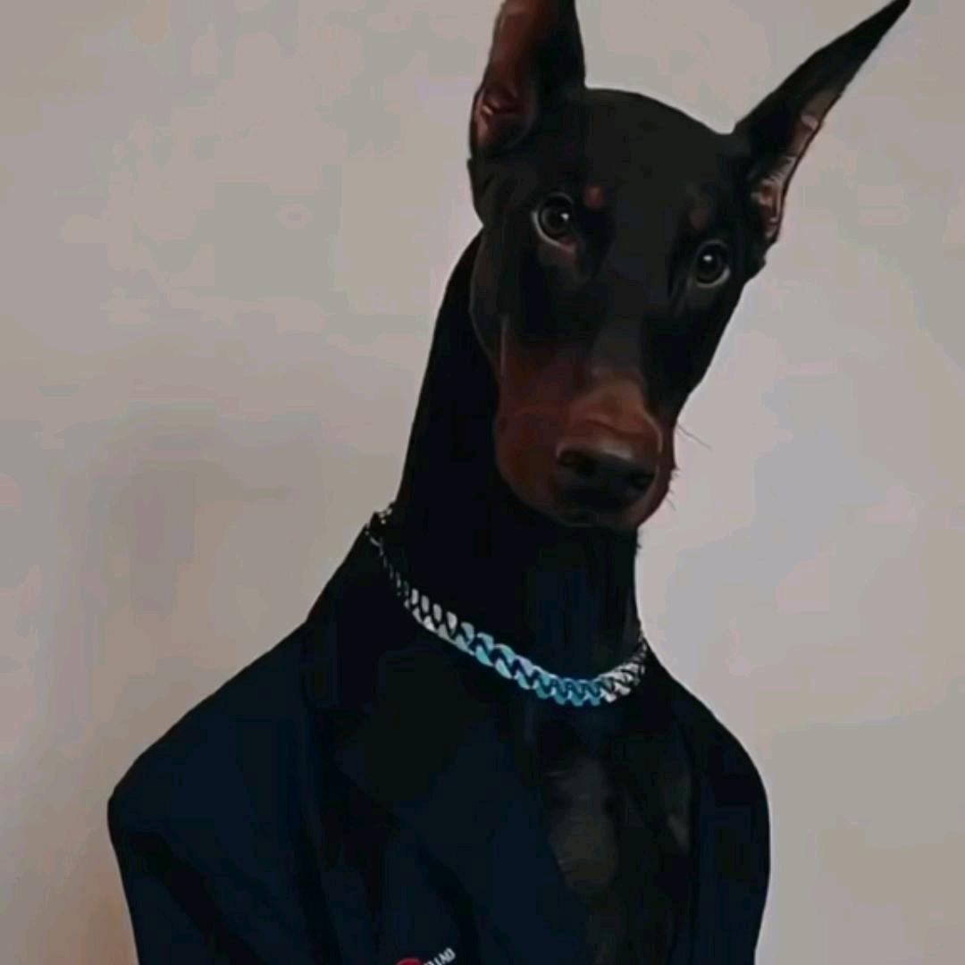 喝丢一只鞋.