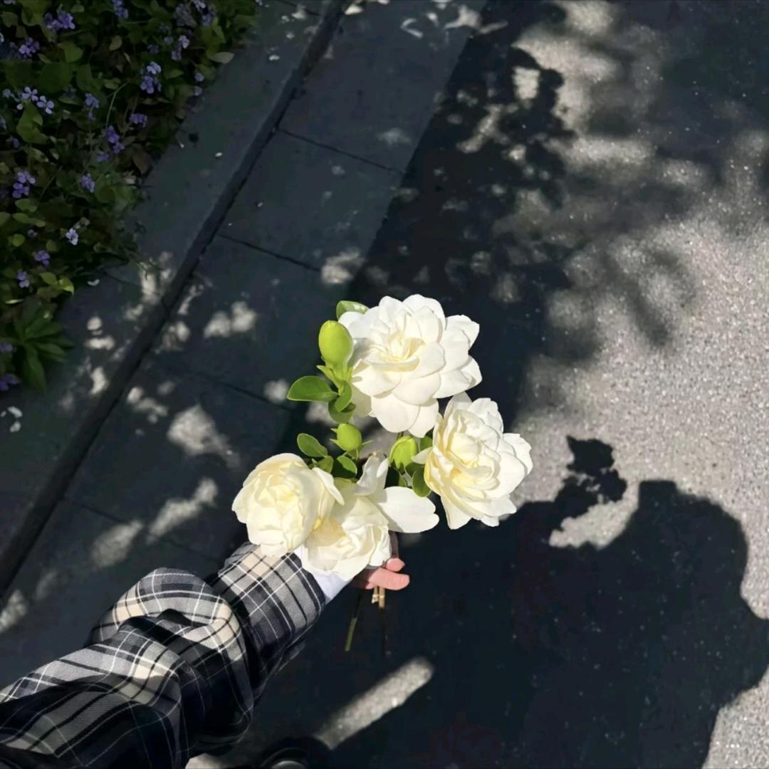 প꯭ᩚ༅如ঞৣ愿💦