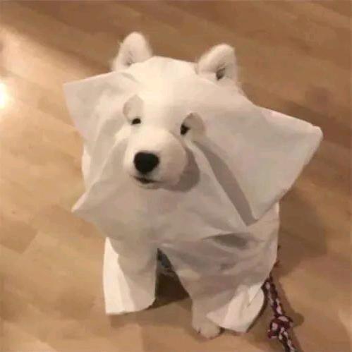 ☁︎