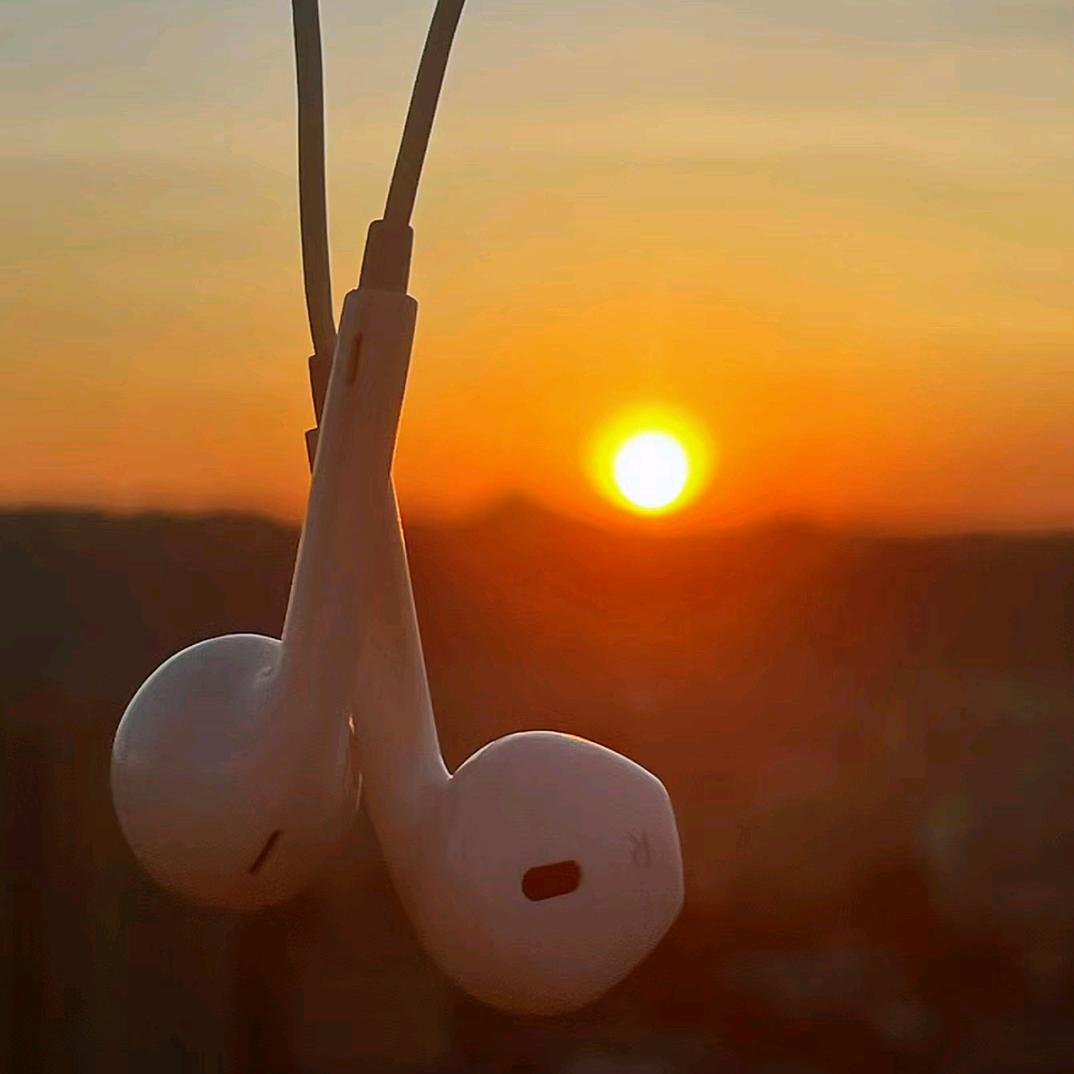 小龙虾   新主播