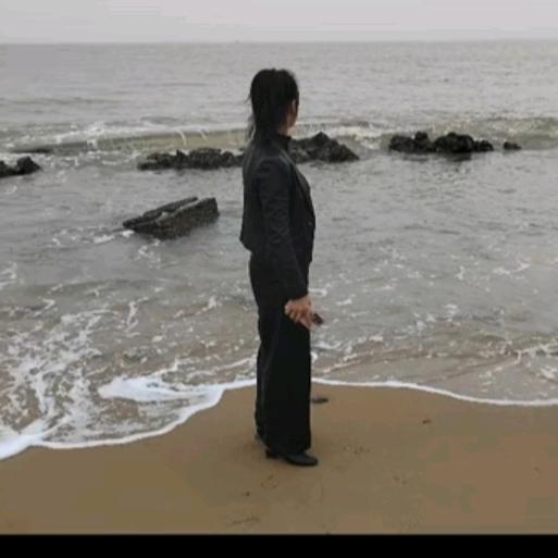 风吟鹤舞