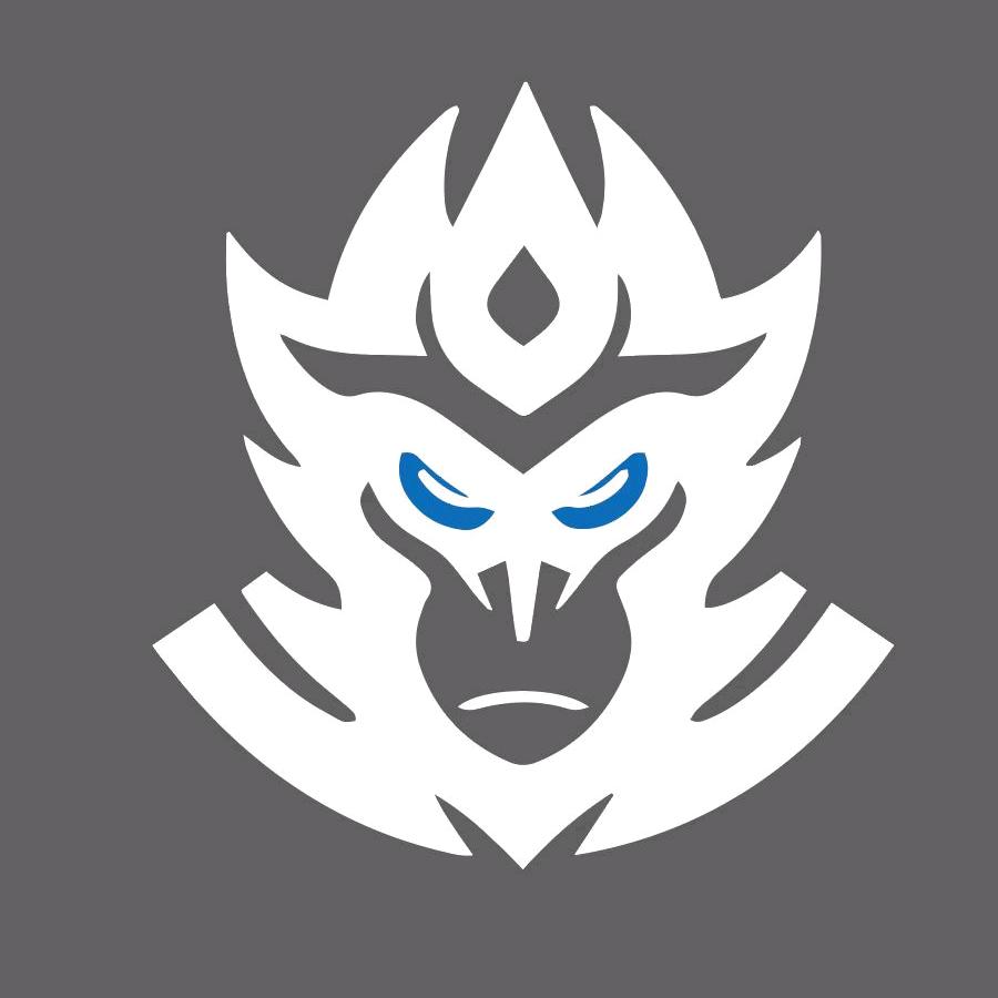 大圣电竞.