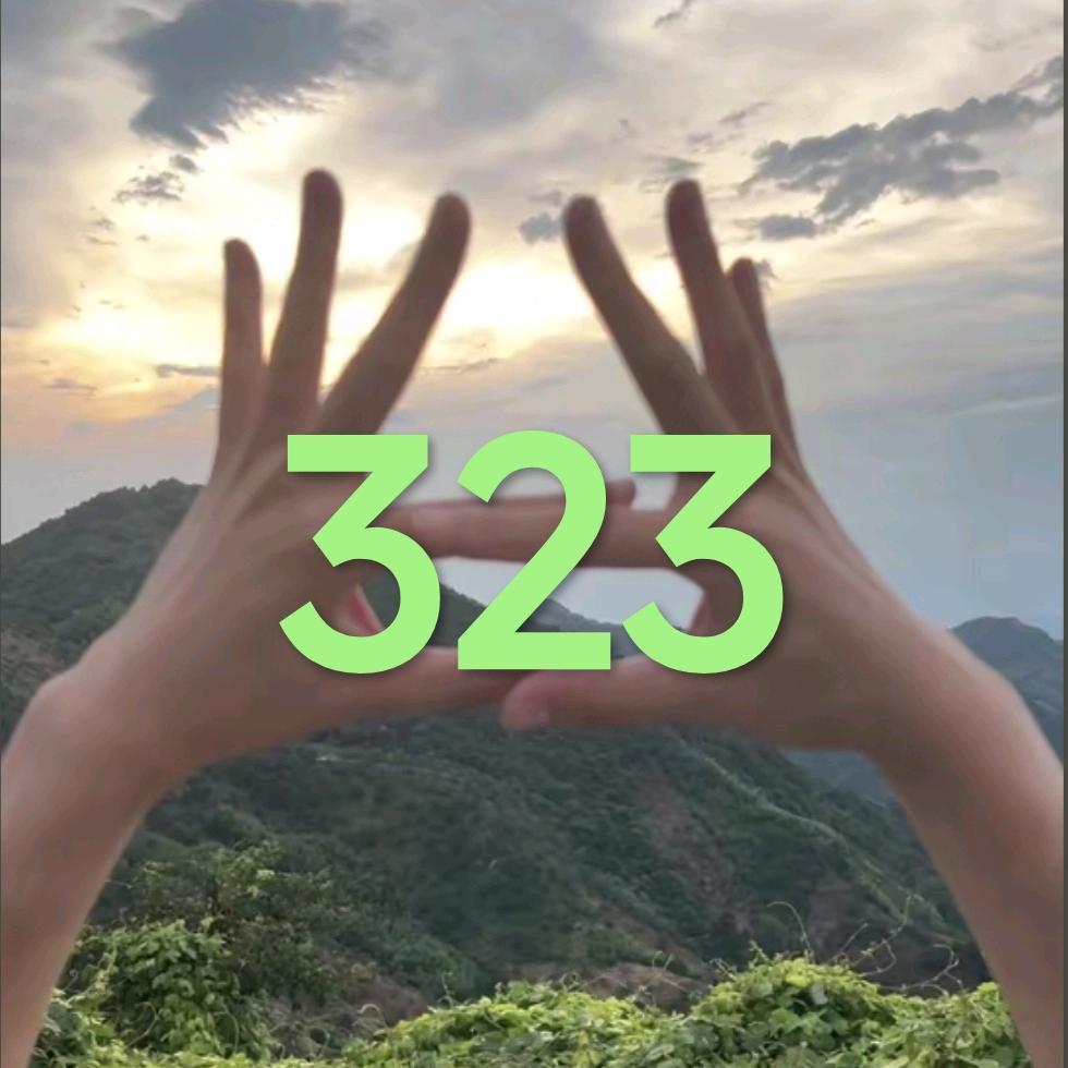 YZ是我小主😡（323）