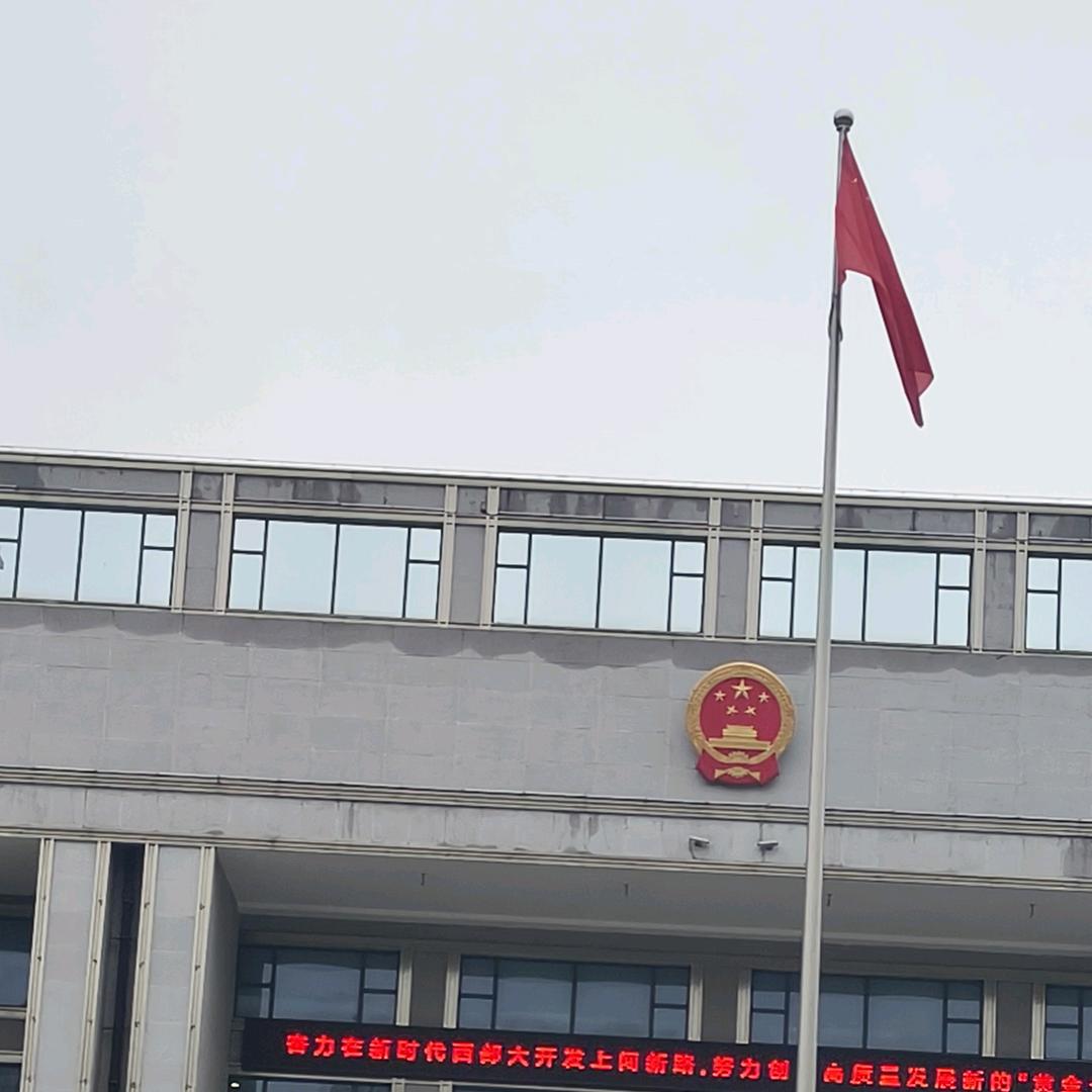 阳文静