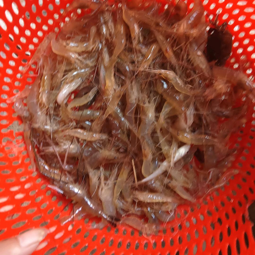 幸福哥