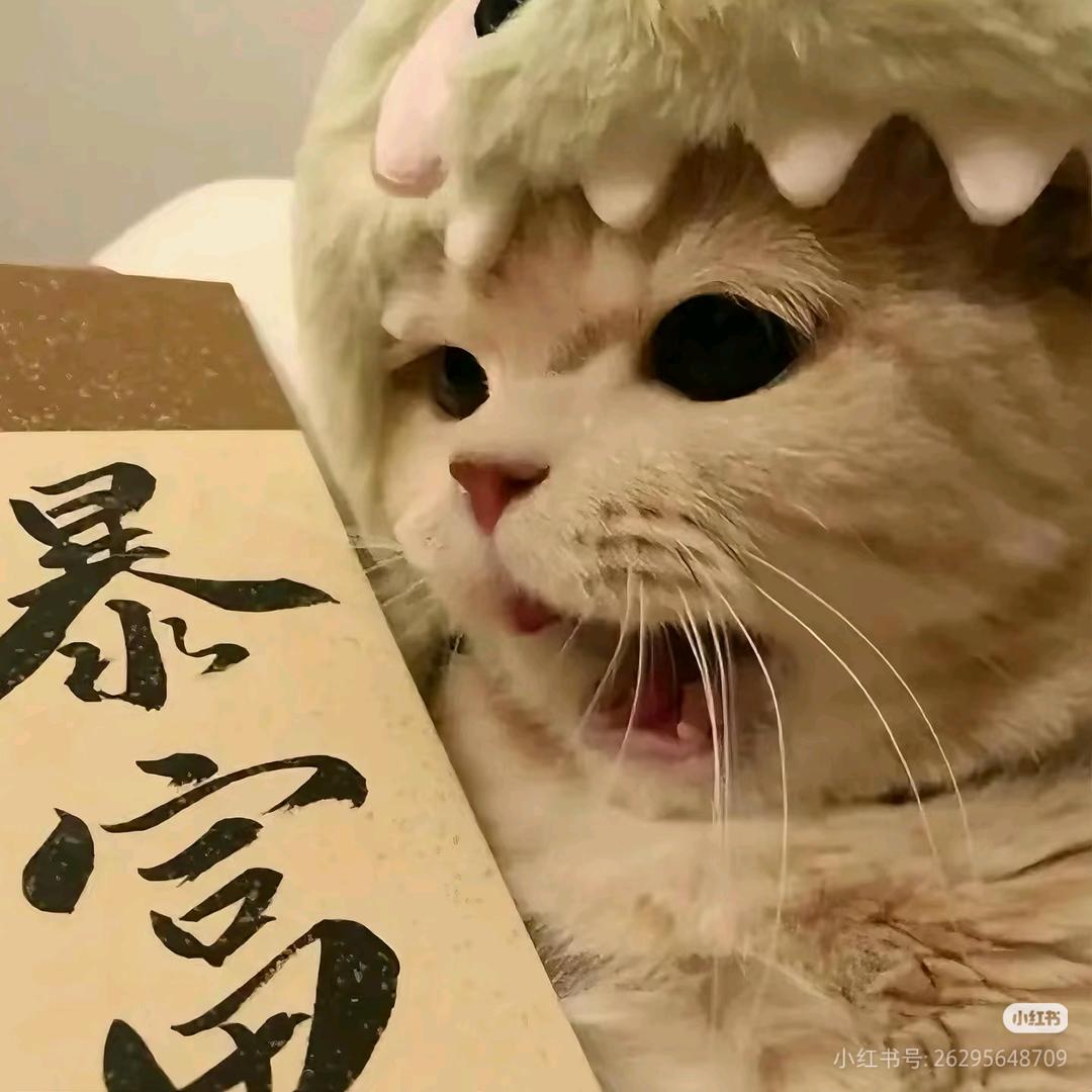 左行道