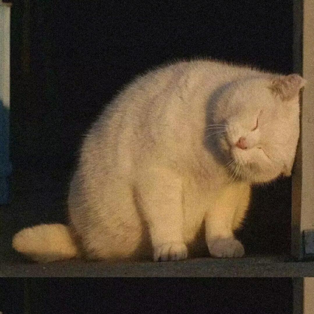 涛涛