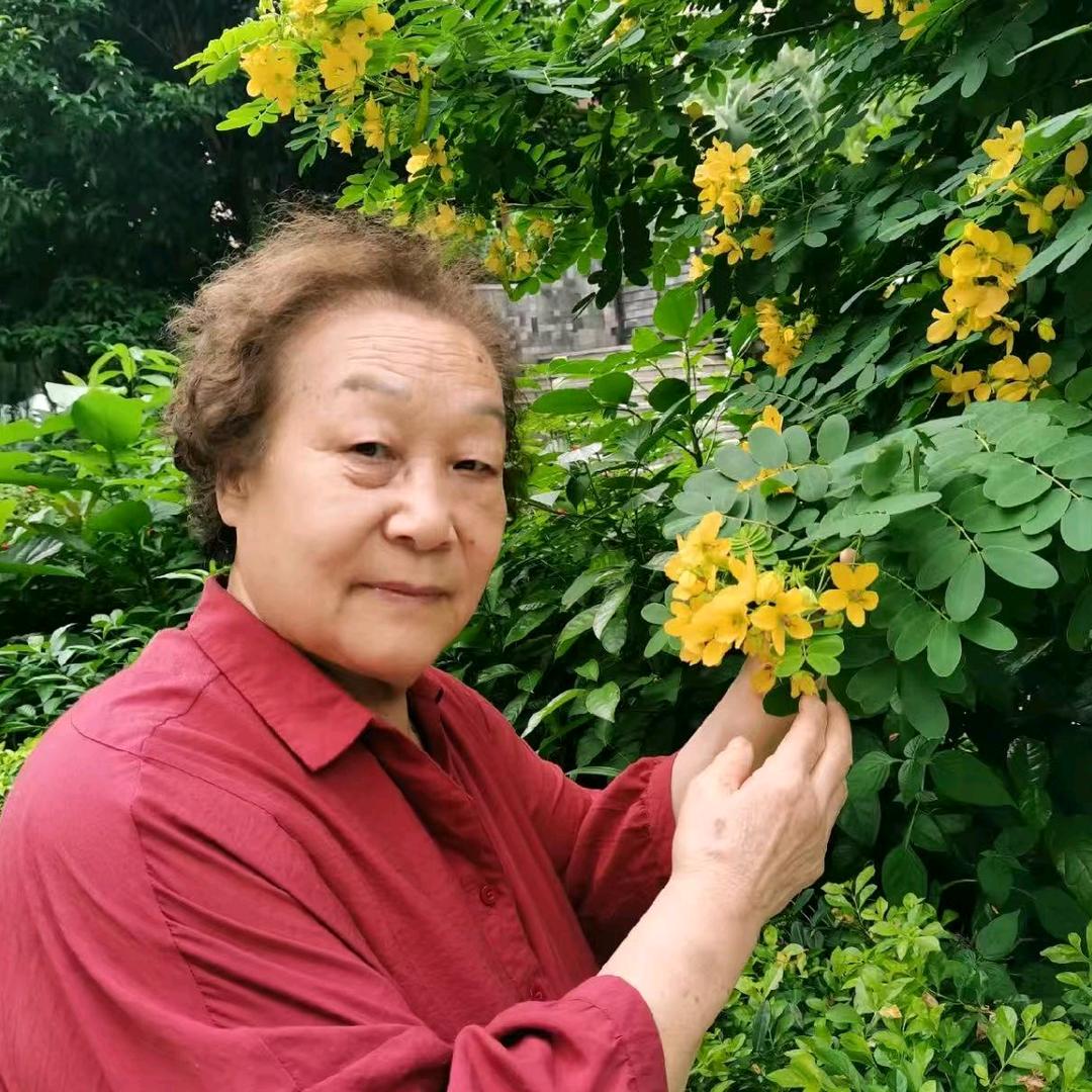 傲雪寒梅