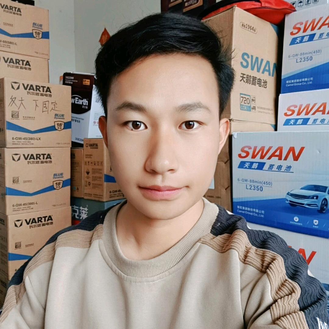 奥新蓄电池