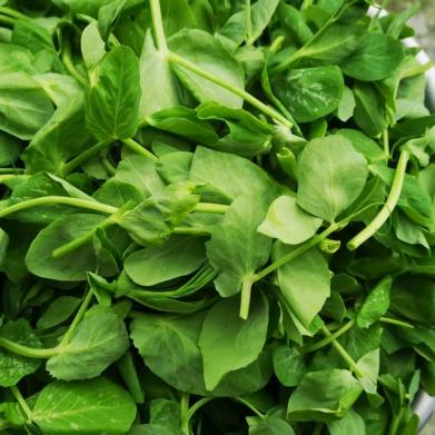 韭，蒜，葱，菜，姜