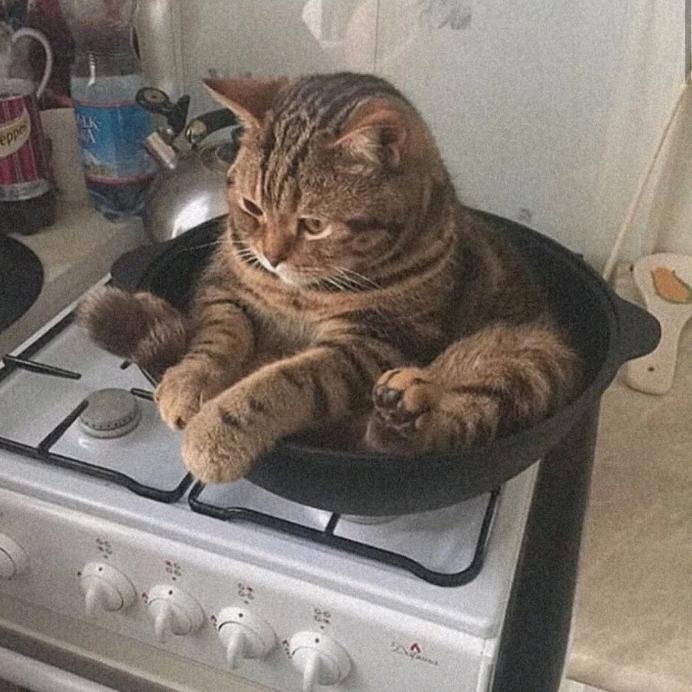 情话