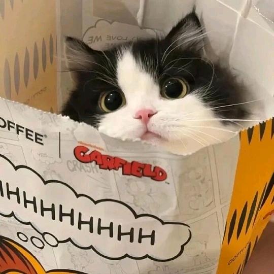 芒果奶油派掌门人