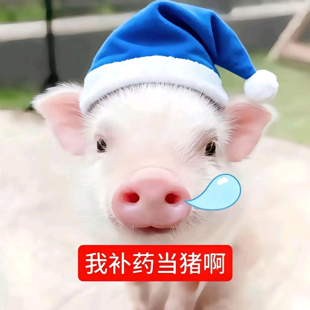 小哲喵喵咪