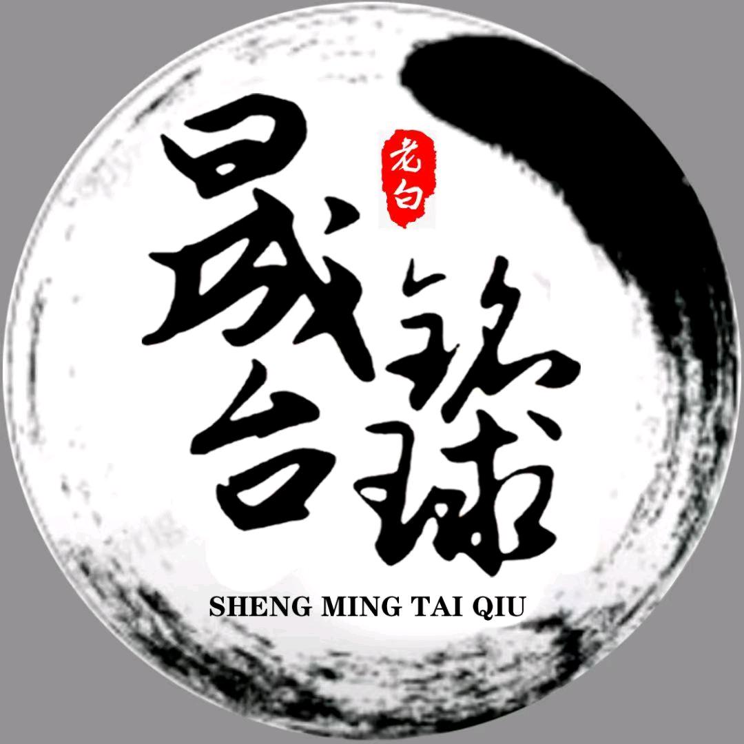 晟铭台球