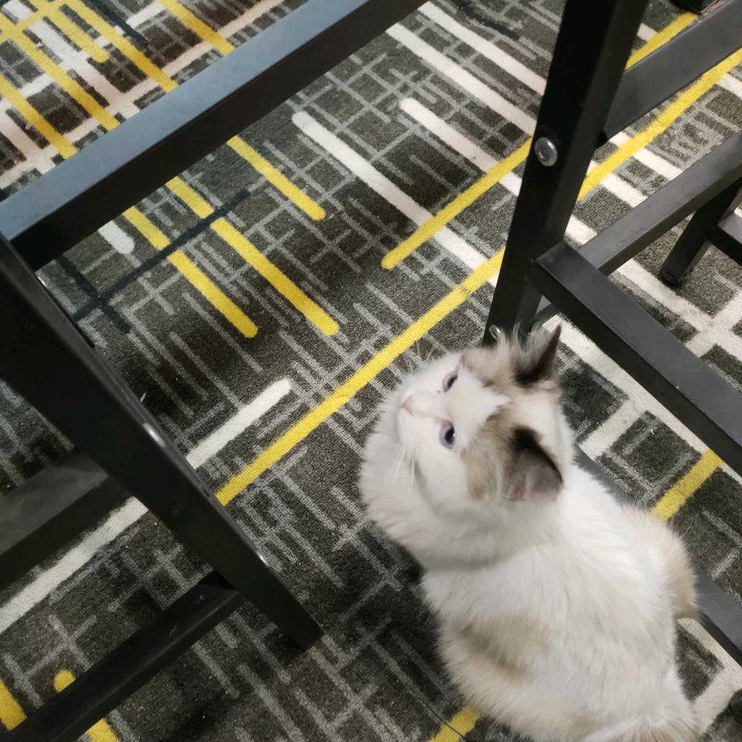 艺得水晶珠宝店